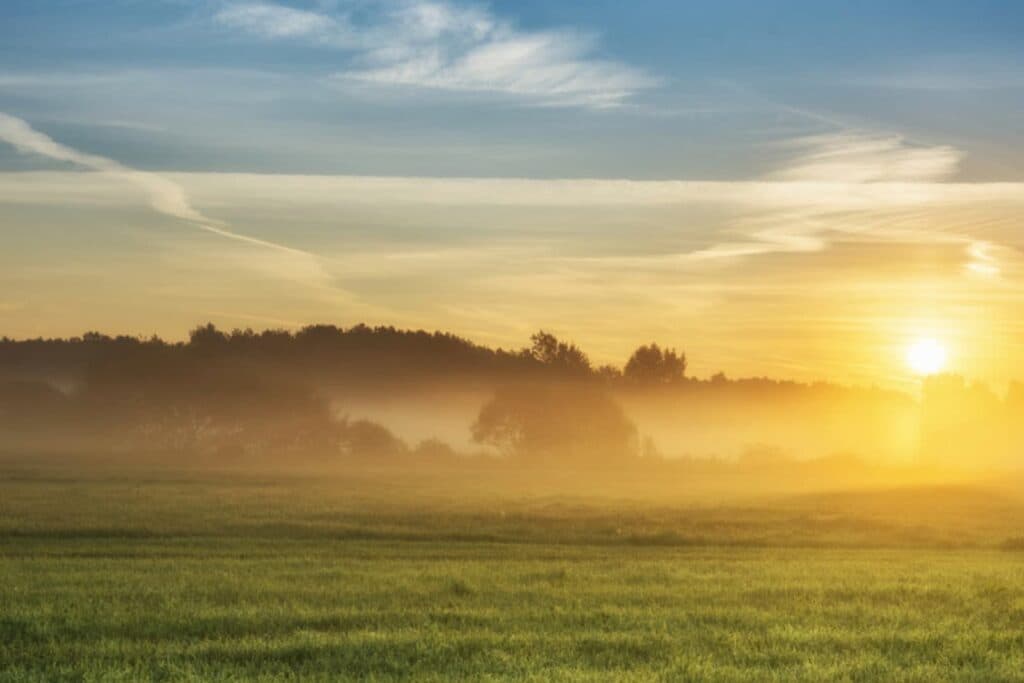 Como se proteger contra o clima que afeta o agro?
