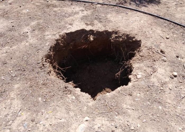 Fazendeiro Grego descobre tumba ao tentar estacionar seu carro