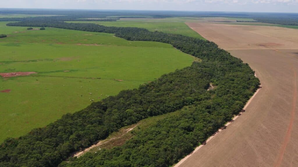 Bom Futuro emprega tecnologia para cuidar de área ambiental de 98 mil hectares