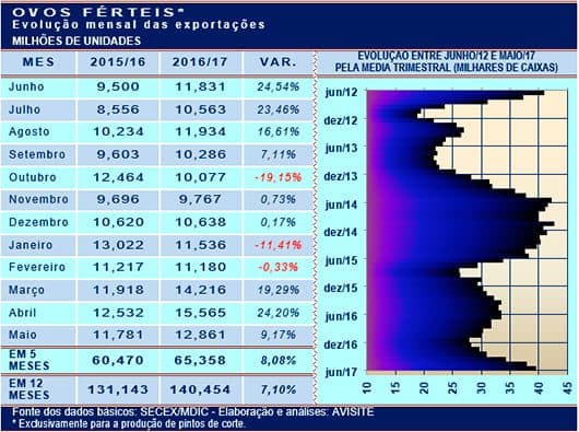 Ovos: Vendas externas de ovos férteis crescem 8% no ano