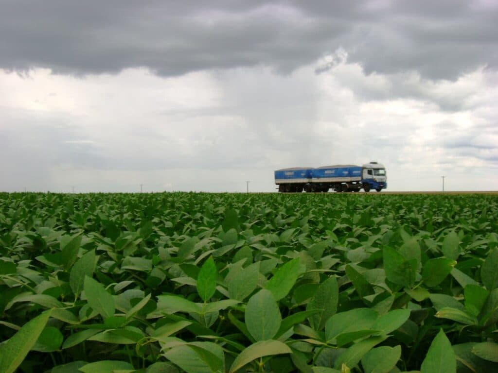 Veja as frentes de pressão que a soja tem pela frente. E não são poucas
