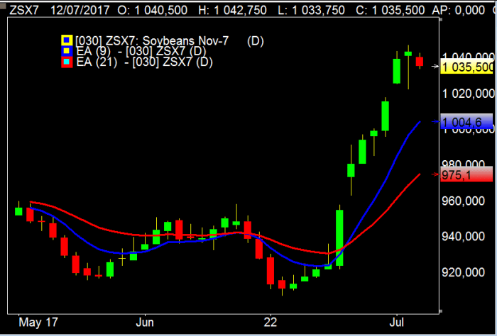 Soja: Mercado em baixa, no aguardo do relatório do USDA, por Miguel Biegai, da OTCex Group