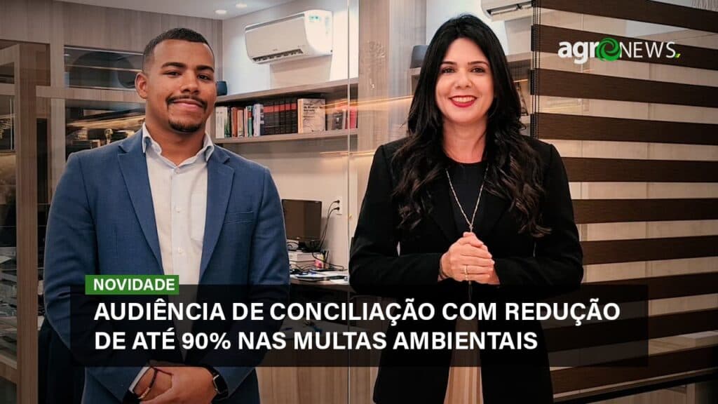 MT terá audiência de conciliação para crimes ambientais, com redução de até 90% nas multas