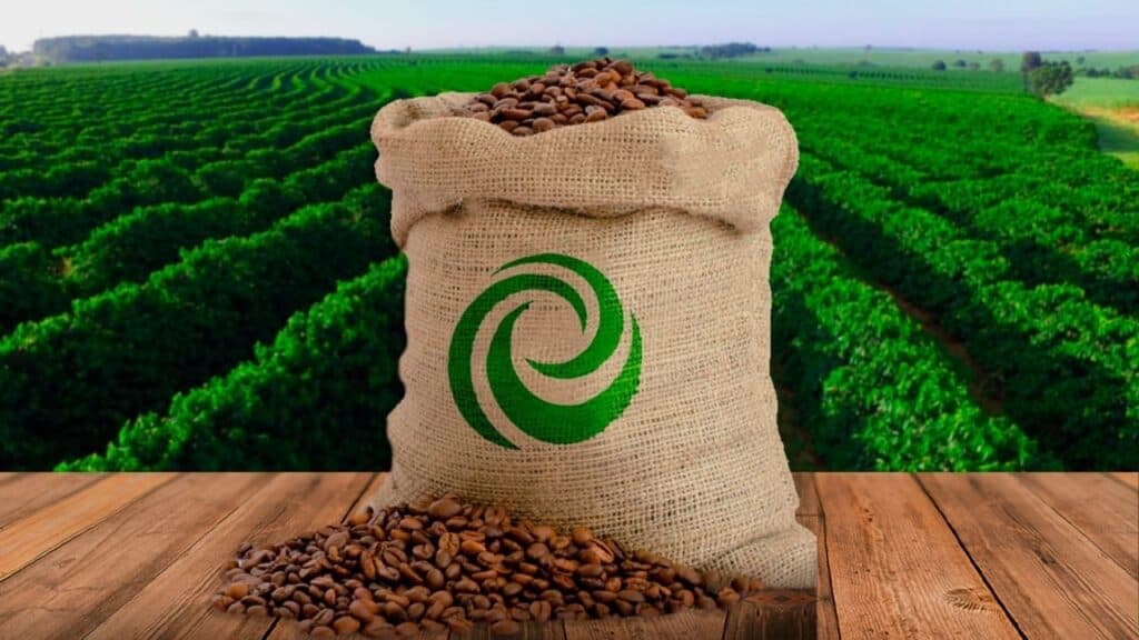 Clima favorável impulsiona produção de café trazendo otimismo