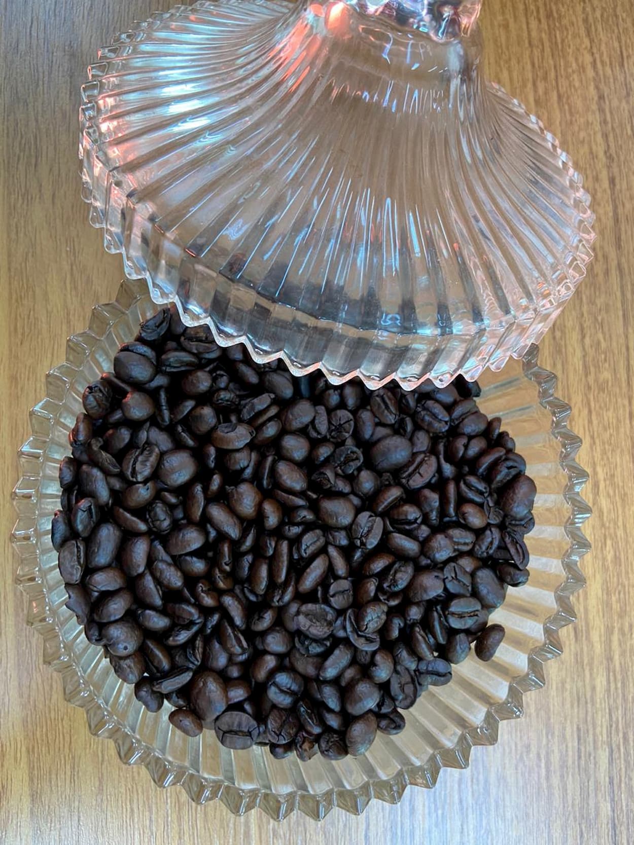 Café: robusta segue em desvalorização em 2022