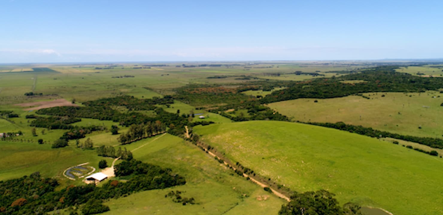 Atenção produtor! Não perca o prazo para declarar o ITR (Imposto Territorial Rural)