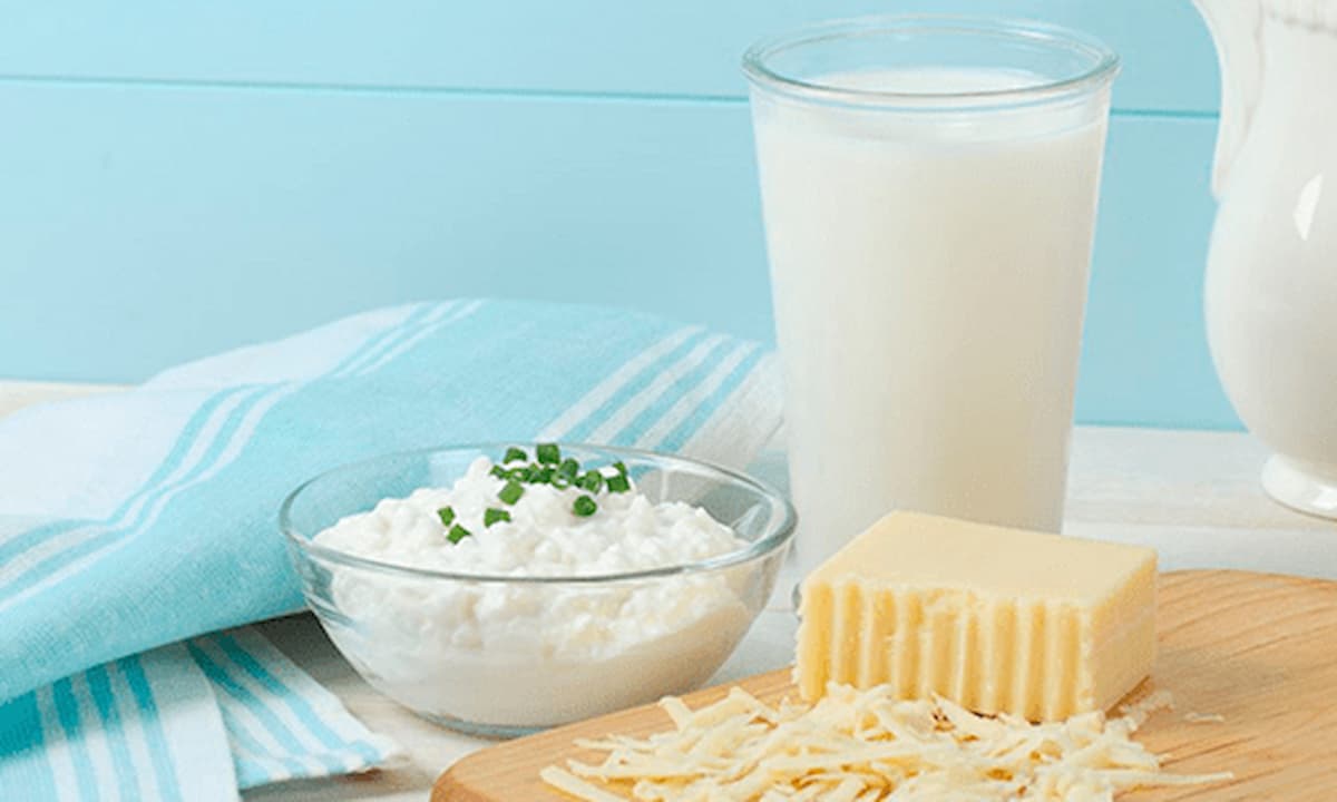 Lácteos: Preços em queda e rentabilidade comprometida