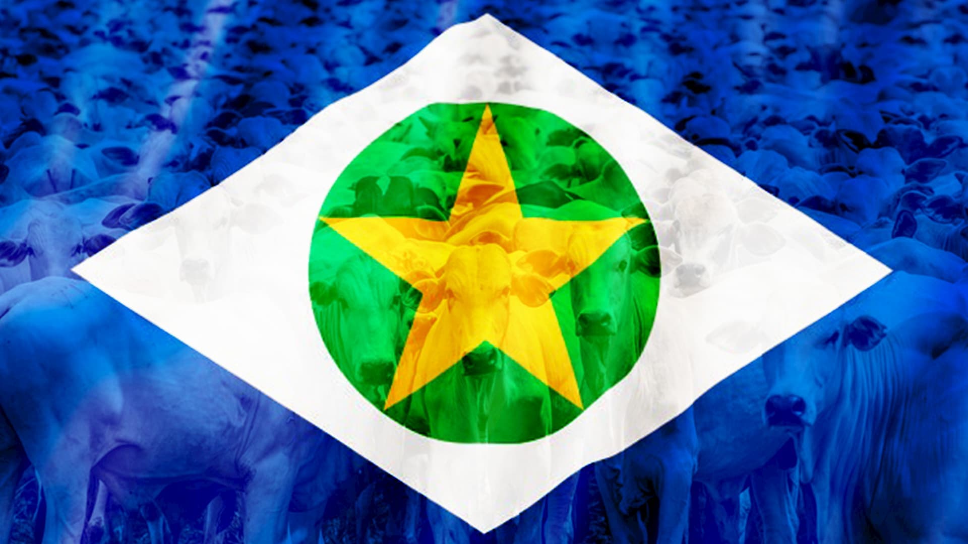 Pecuária de corte busca apoio da ALMT para superar crise, confira!