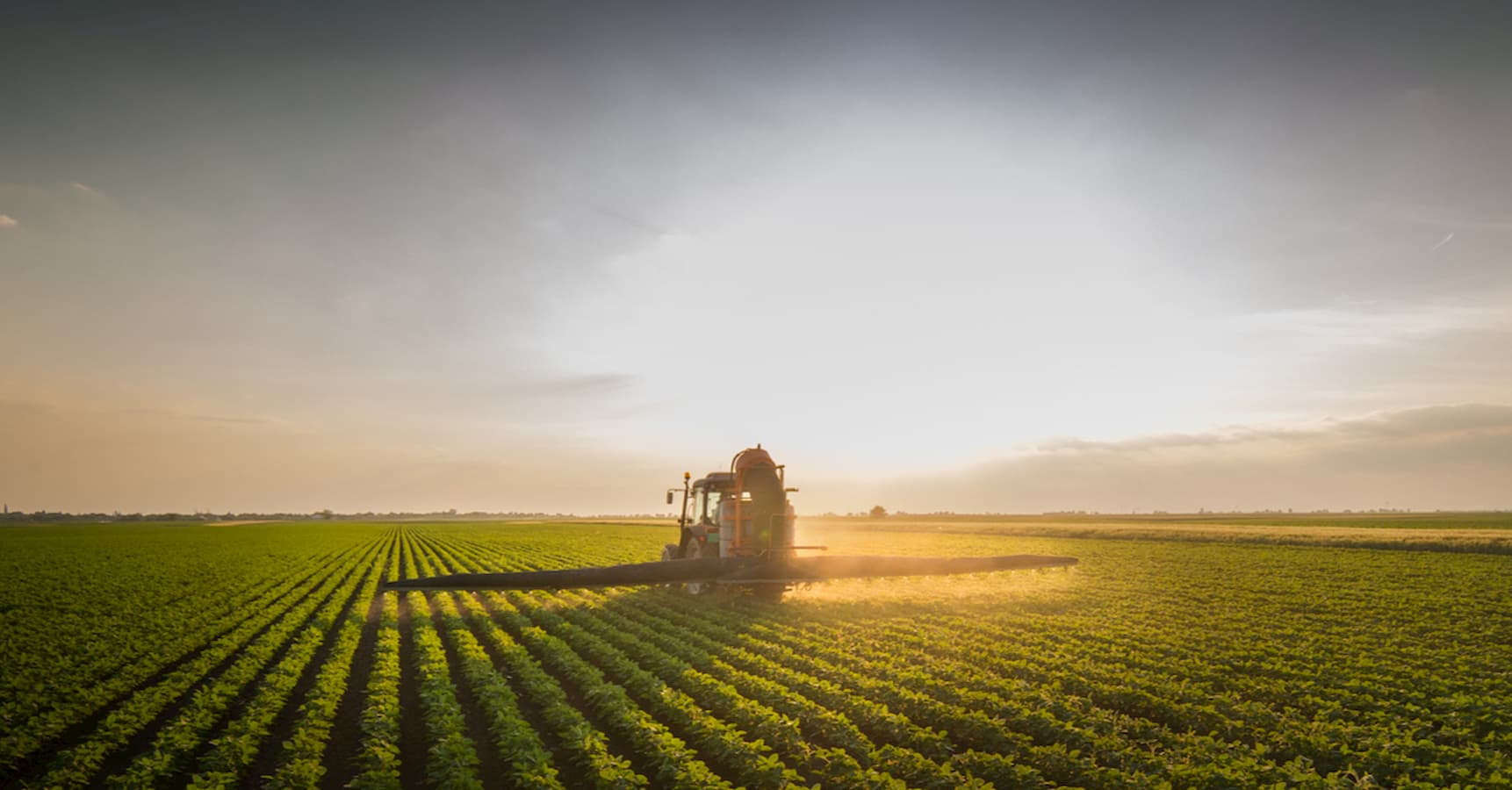 PIB da Agropecuária cresce 21,6% no 1º trimestre de 2023