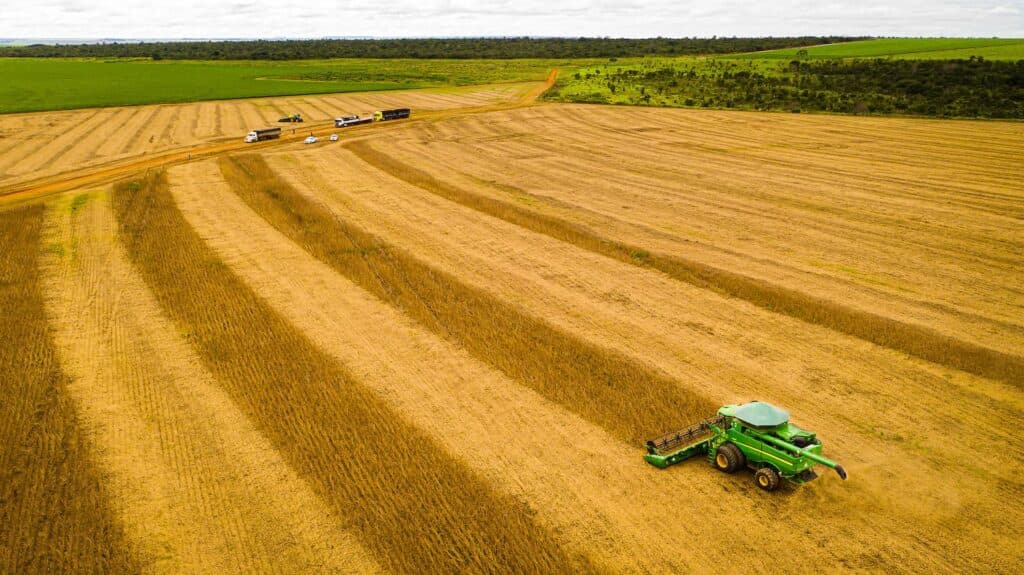 Soja: preço sobe em Mato Grosso