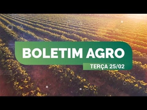 CLIMATEMPO 25/02 a 02 de março, veja a previsão do tempo no Brasil