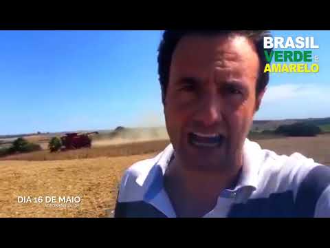 Setor produtivo reforça apoio à Bolsonaro no Movimento Brasil Verde e Amarelo