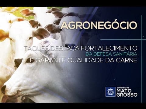 Agronegócio: Taques destaca fortalecimento da defesa sanitária e garante qualidade da carne