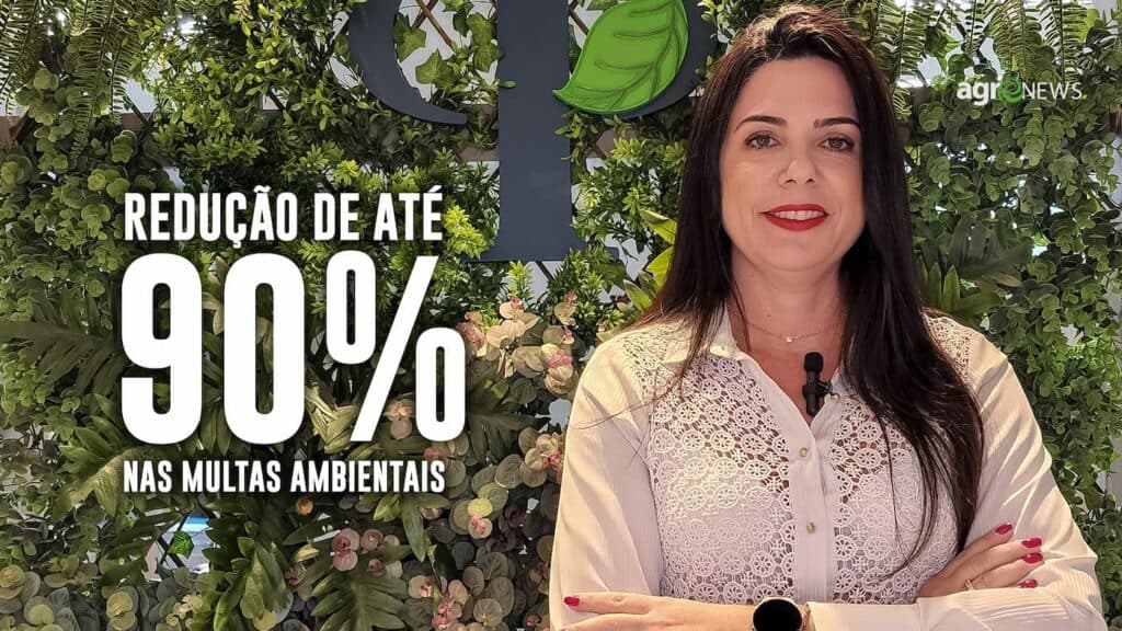 Redução de até 90% nas multas ambientais entra em vigor, saiba como