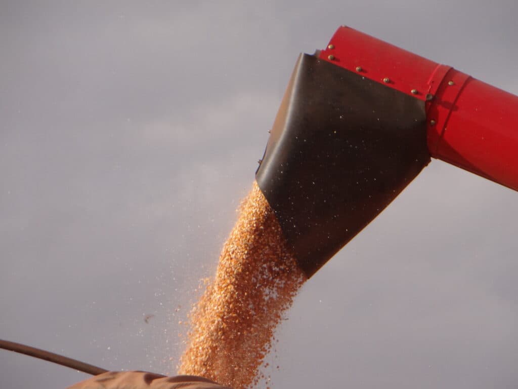 Valor da Produção Agropecuária (VBP) é atualizado para R$ 1,150 trilhão