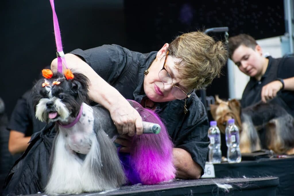 Campeonato Internacional de Tosa atrai competidores para o Brasil