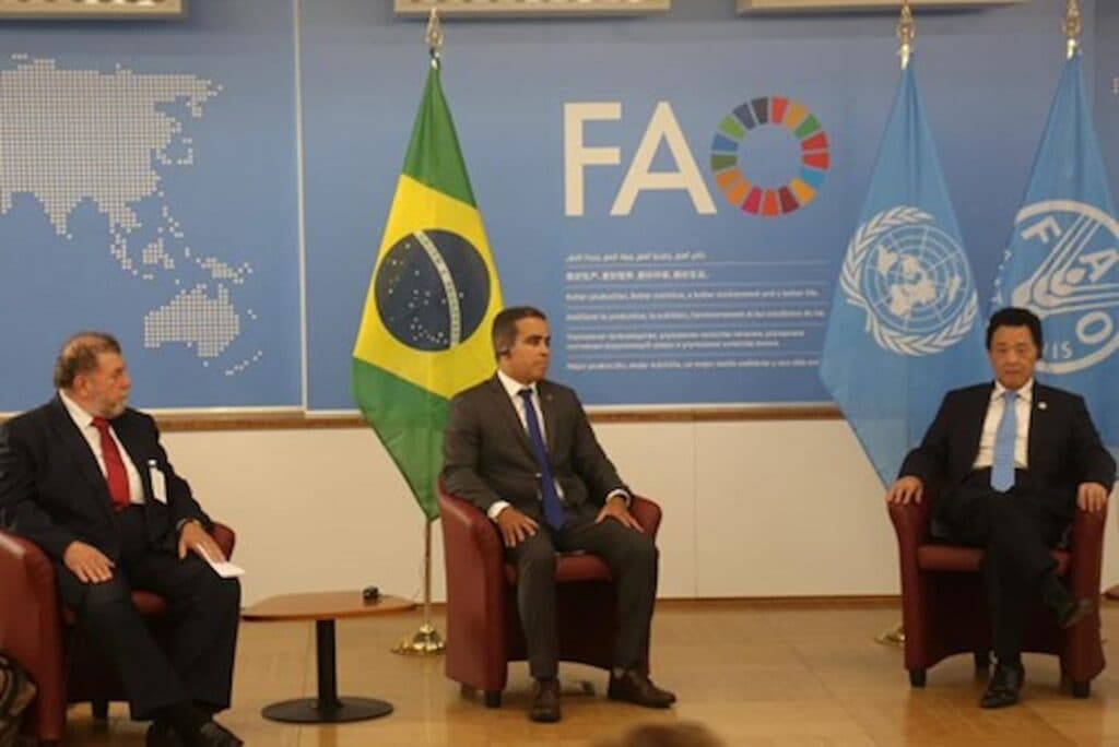 Brasil renova parceria com a Organização das Nações Unidas para Agricultura e Alimentação (FAO)