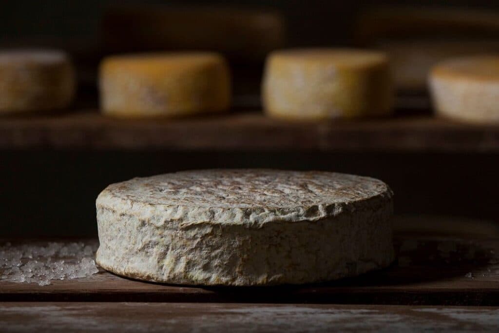 MG é o 1° estado a formalizar o queijo artesanal com casca florida