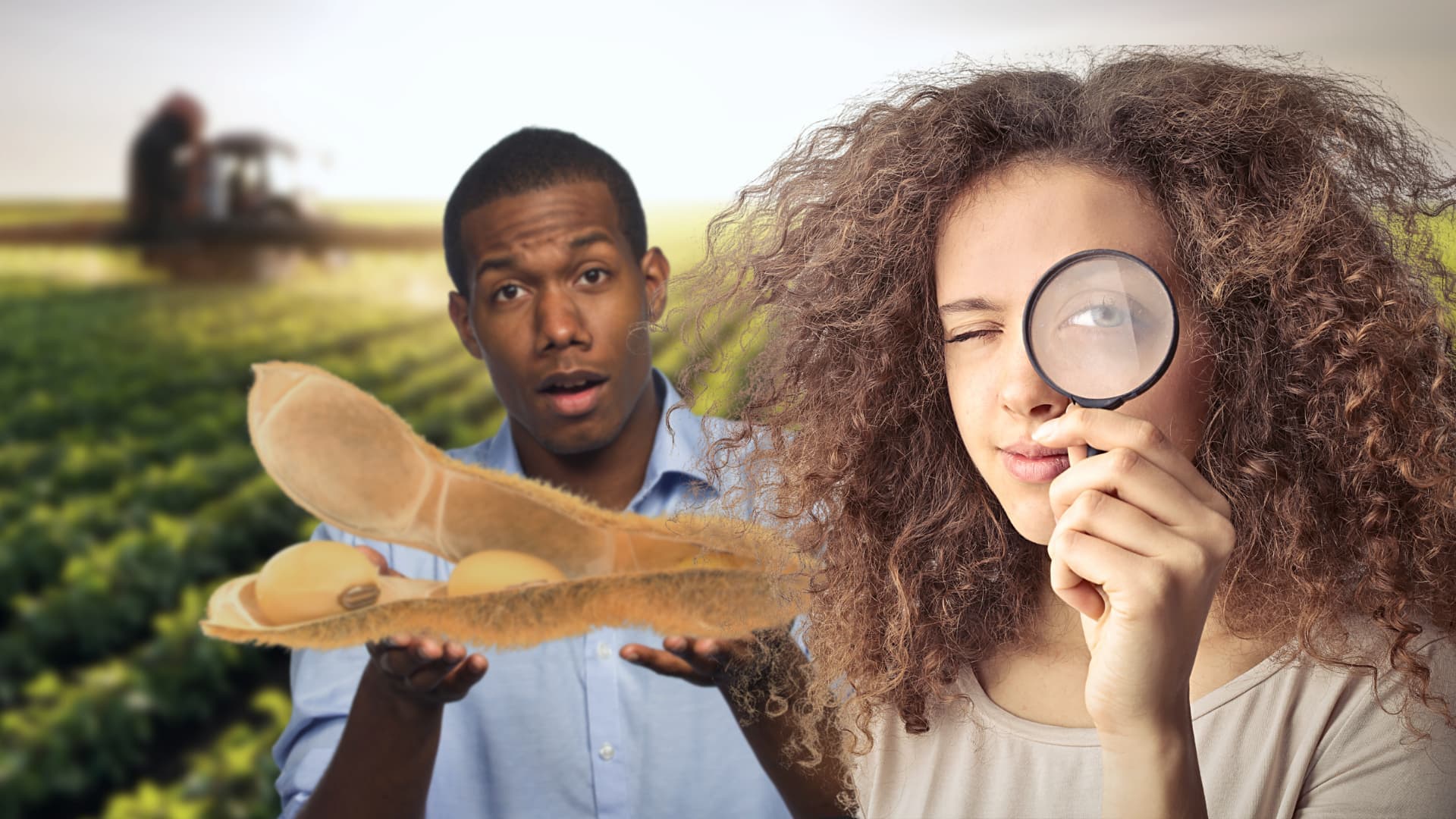 Agro da Gente: Afinal, o que é esse tal de Agronegócio?