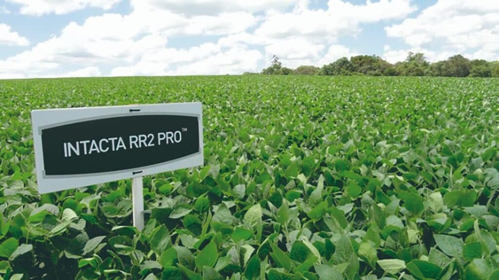 Vitória dos produtores de soja no STF obriga Bayer depositar R$ 1,3 bilhão por uso de patente