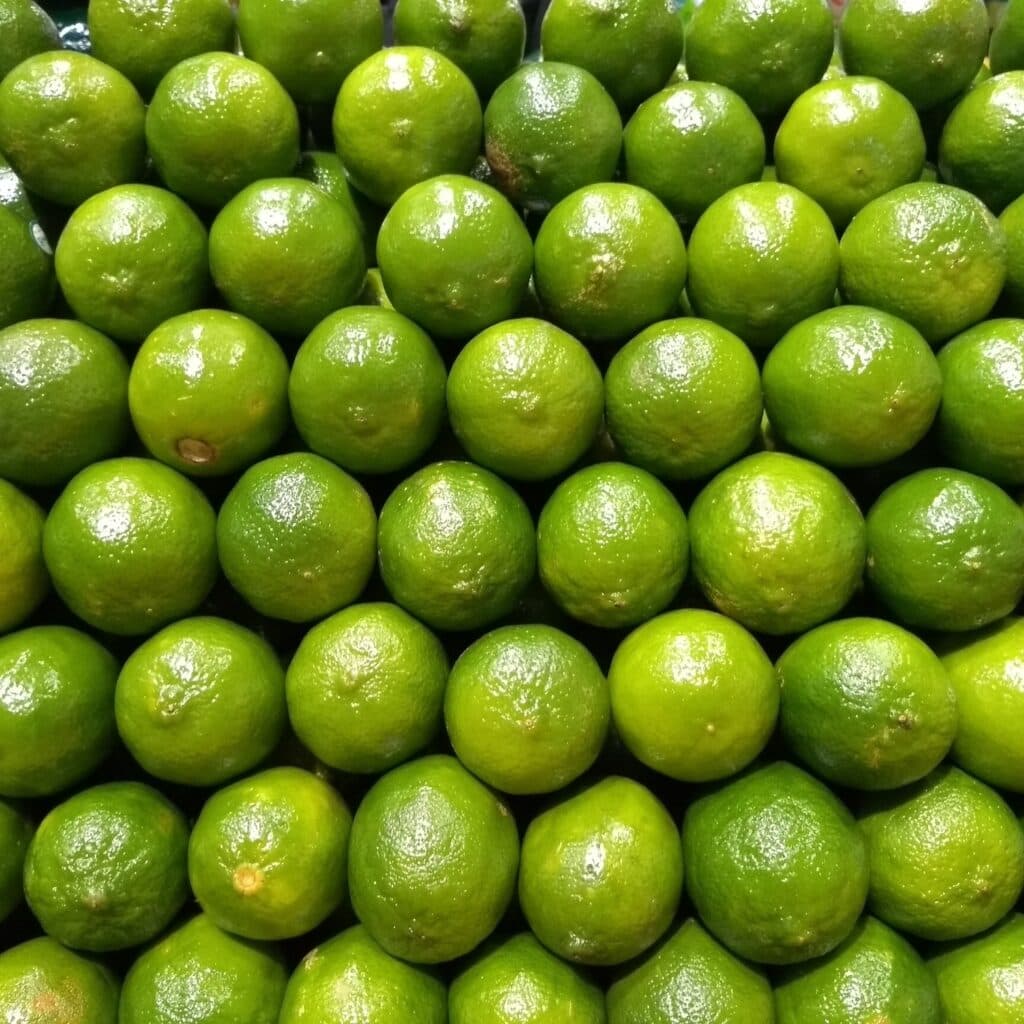 Preços da tahiti seguem em recuperação