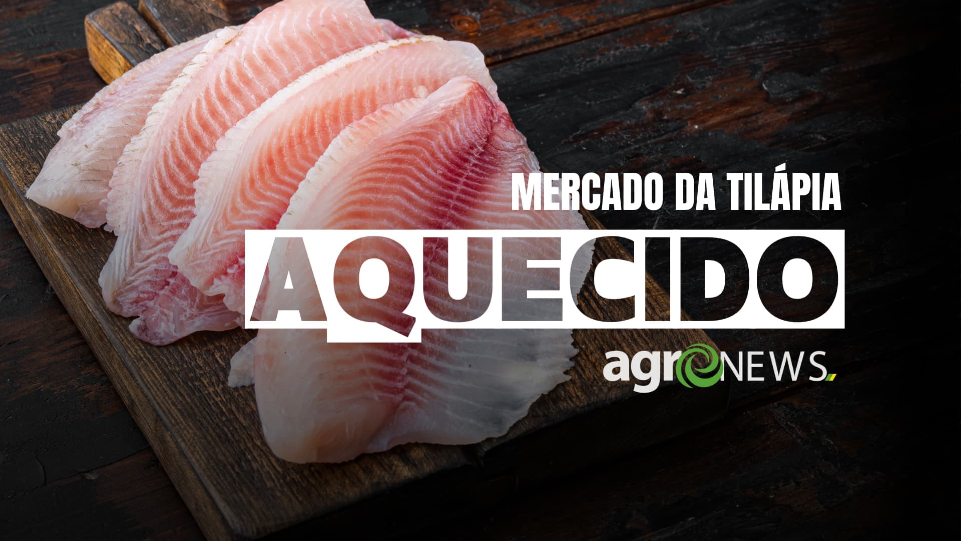 Mercado do Peixe 15 de abril 2023, setor continua aquecido