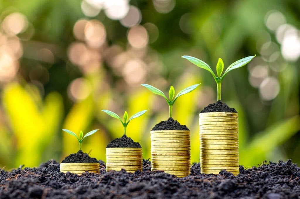 Liberação do crédito rural alcança R$ 267 bilhões em nove meses