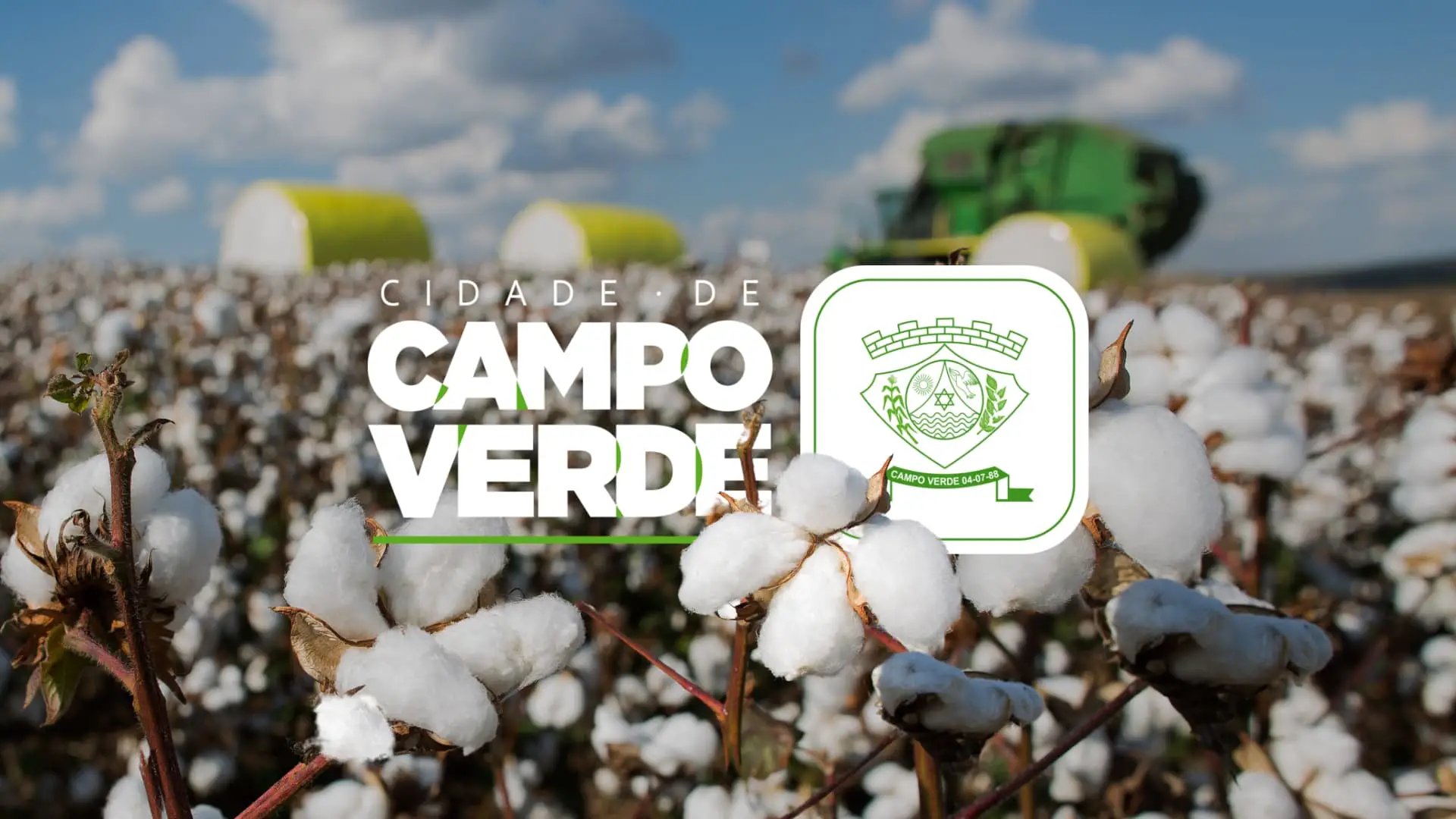 Algodão: Qualidade e resistência da fibra, tornam Campo Verde polo têxtil brasileiro