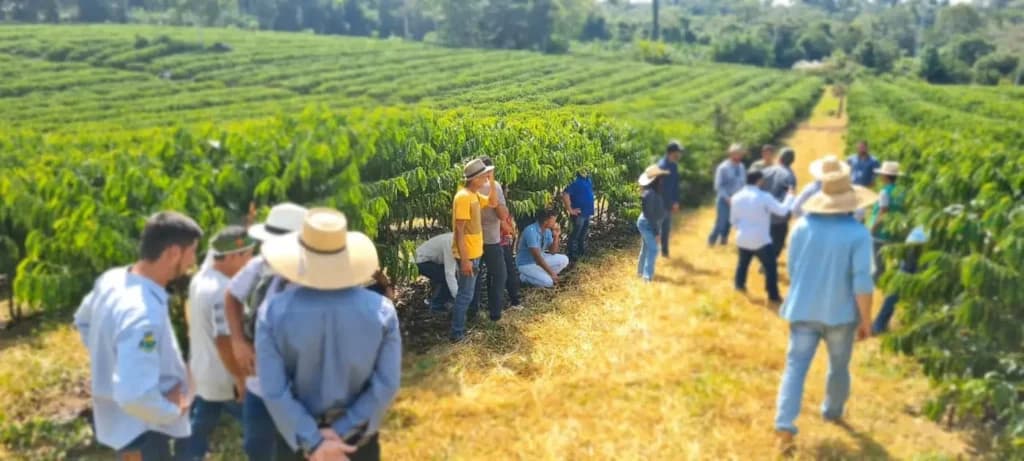 Agricultura Familiar: Comitiva de MT viaja até Rondônia para conhecer produção de café e leite