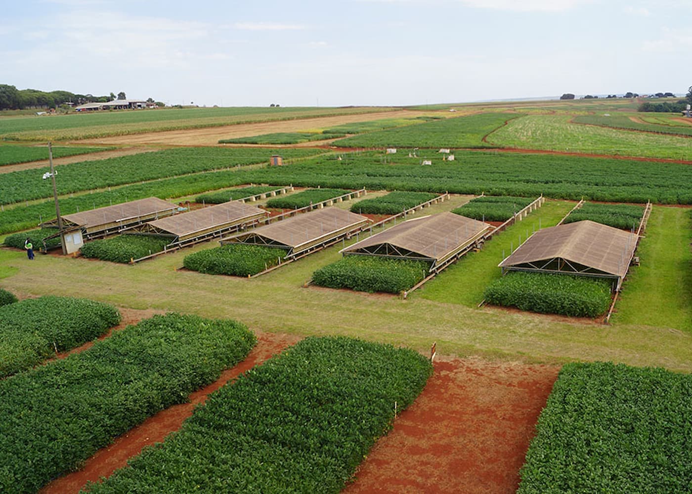 Pesquisadores combinam tecnologias para enfrentar a seca na soja