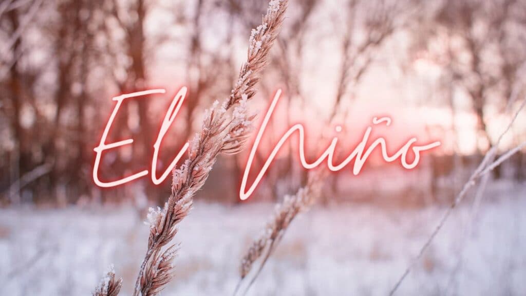 De olho no El Niño, Informe Pré-Safra Goiás traz orientações, confira