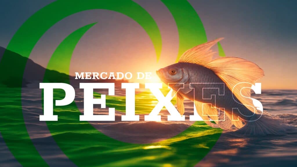Mercado de peixes: Reação de preços e avanços no horizonte