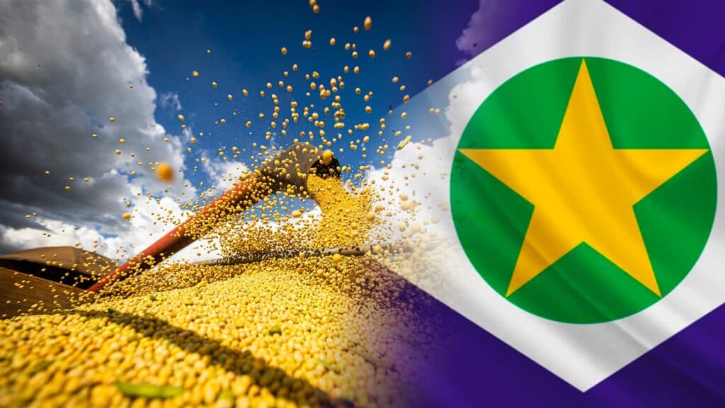 Produção de grãos em MT deve aumentar 4,4% na safra 2024/2025, estima Conab