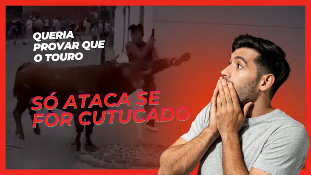 Vídeo: Touro furioso ataca brutalmente mulher distraída no celular