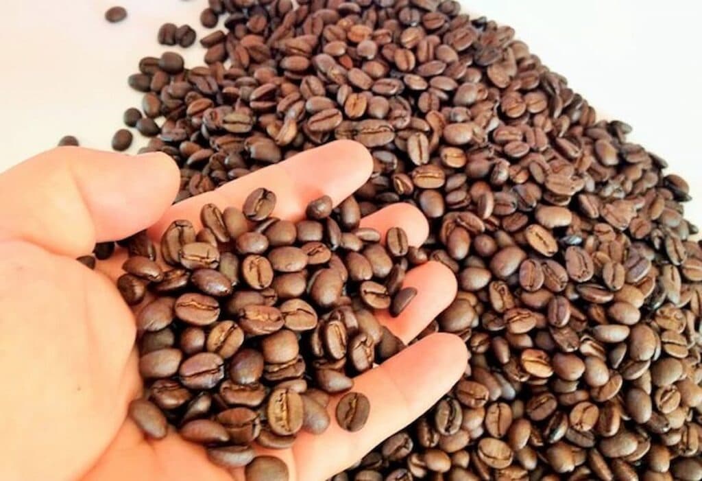 Manejo integrado de pragas e doenças dos cafés conilon e robusta