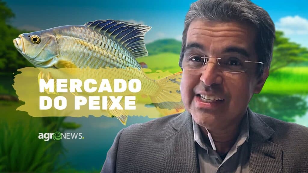 Tendências no Mercado de Peixes de cultivo no Brasil