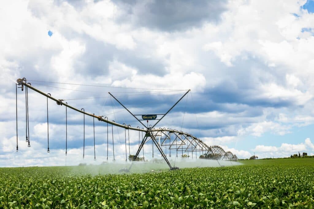Preços da soja seguem em baixa no Brasil