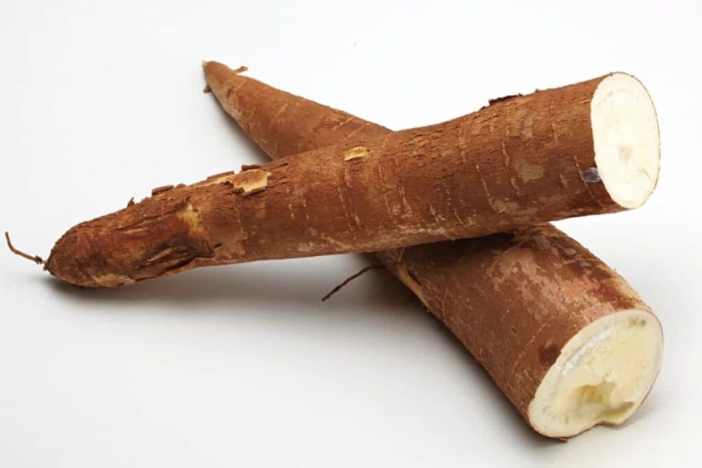 Produção de mandioca alcança recorde em 2024