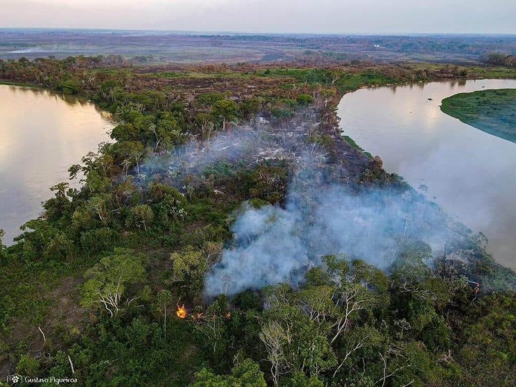 Pantanal mato-grossense: Operação resulta na redução de 12% da área atingida pelo fogo