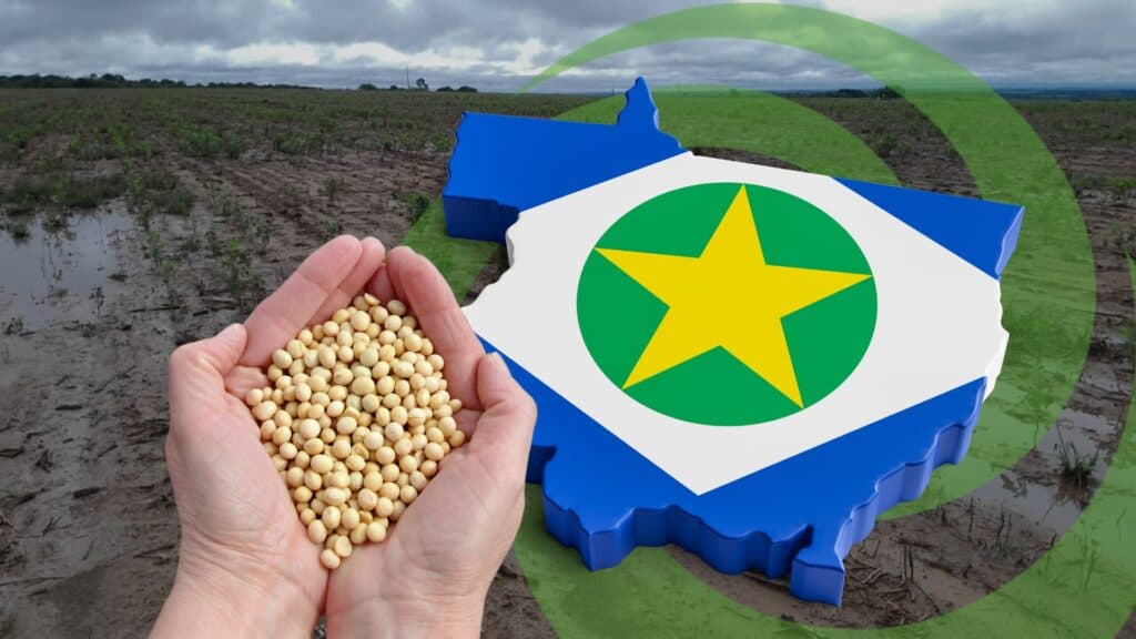 MAPA prepara medidas de enfrentamento a seca no Mato Grosso