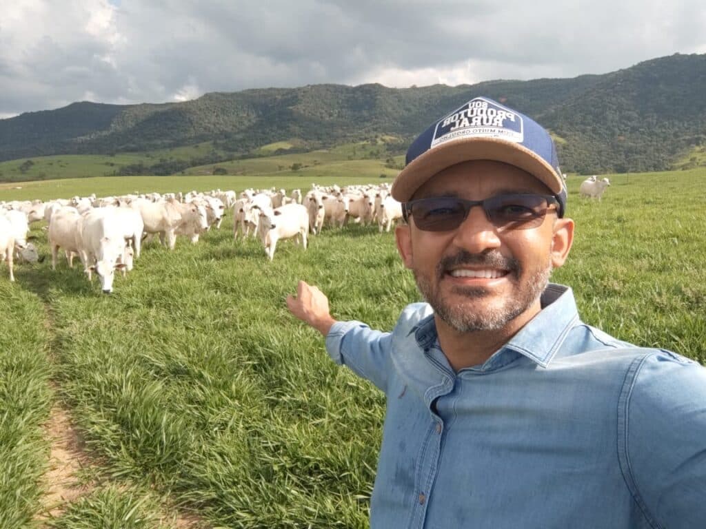 Mercado do boi: produção recorde de carne bovina marca início de 2025