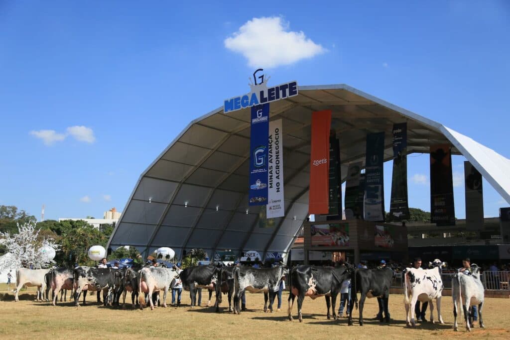 Megaleite 2024: inscrições estão abertas