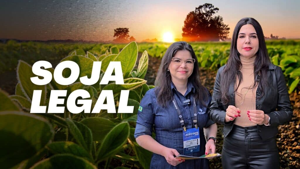 O programa “Soja Legal” e sua importância para o setor produtivo