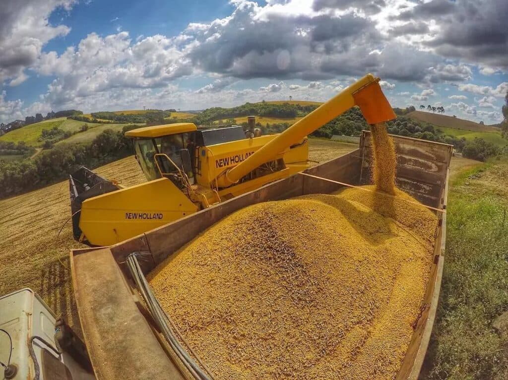 ZARC – Mapa publica Zoneamento Agrícola de Risco Climático da Soja para safra 2024/25