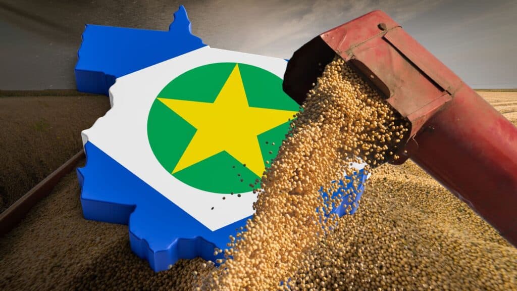 Abertura Nacional da Colheita da Soja em Mato Grosso acontece nesta próxima semana