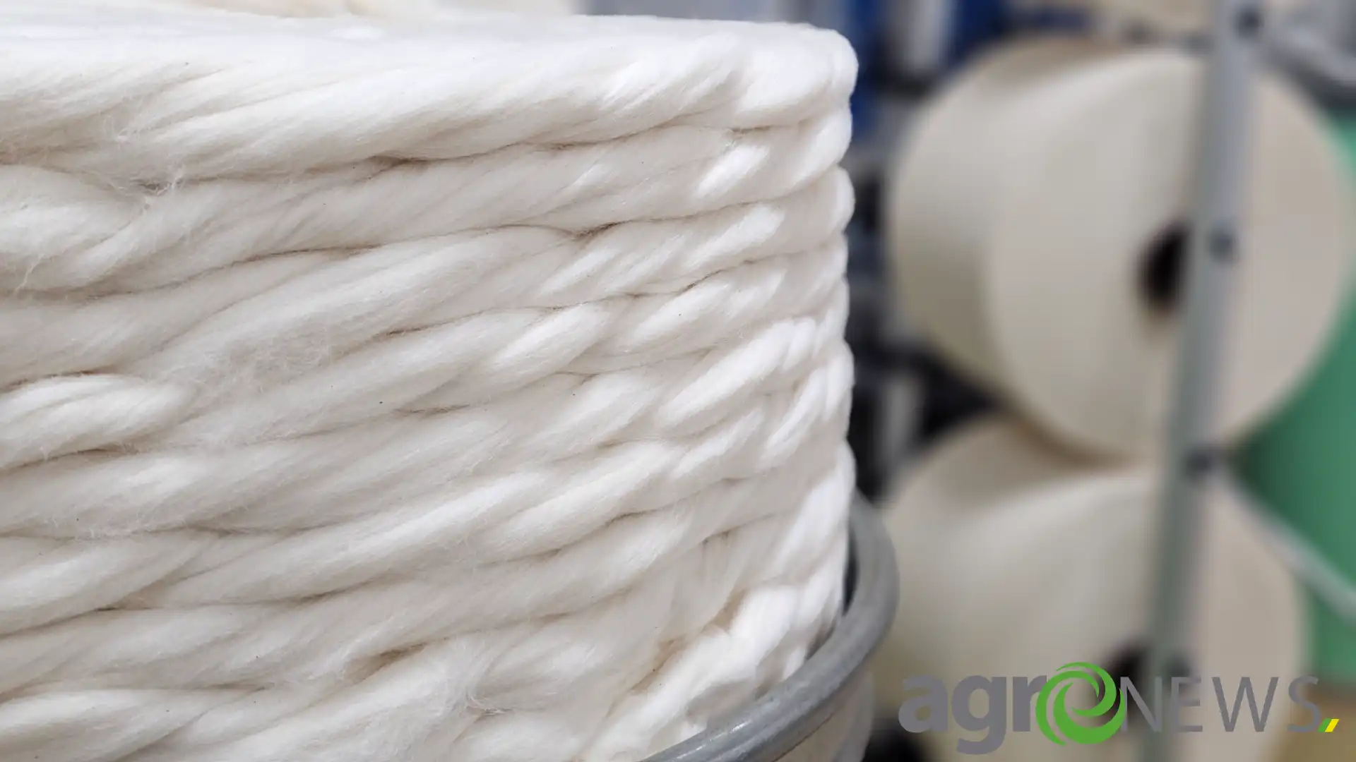Algodão: exportações intensas rumo a novo recorde