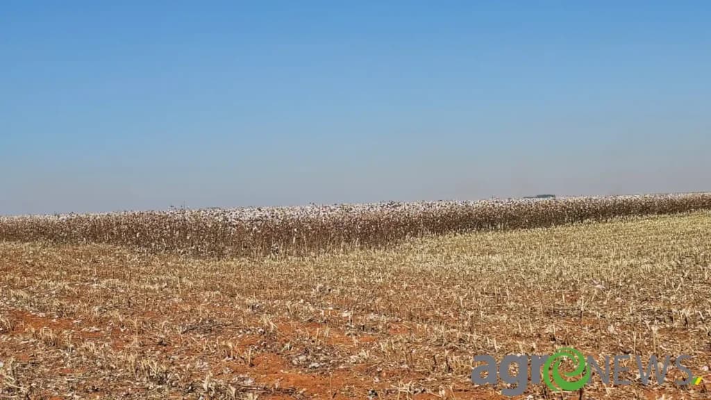 Mato Grosso: PIB registra maior variação percentual do Brasil crescendo mais de 1.230%