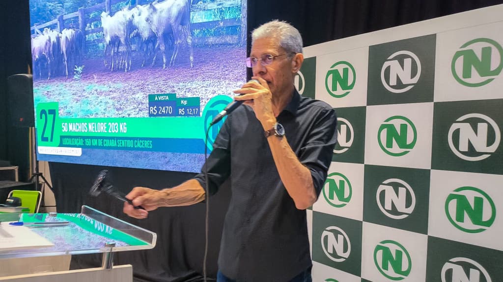 Estância Nogueira Leilões encerra 2024 com chave de ouro no “Lance Final”