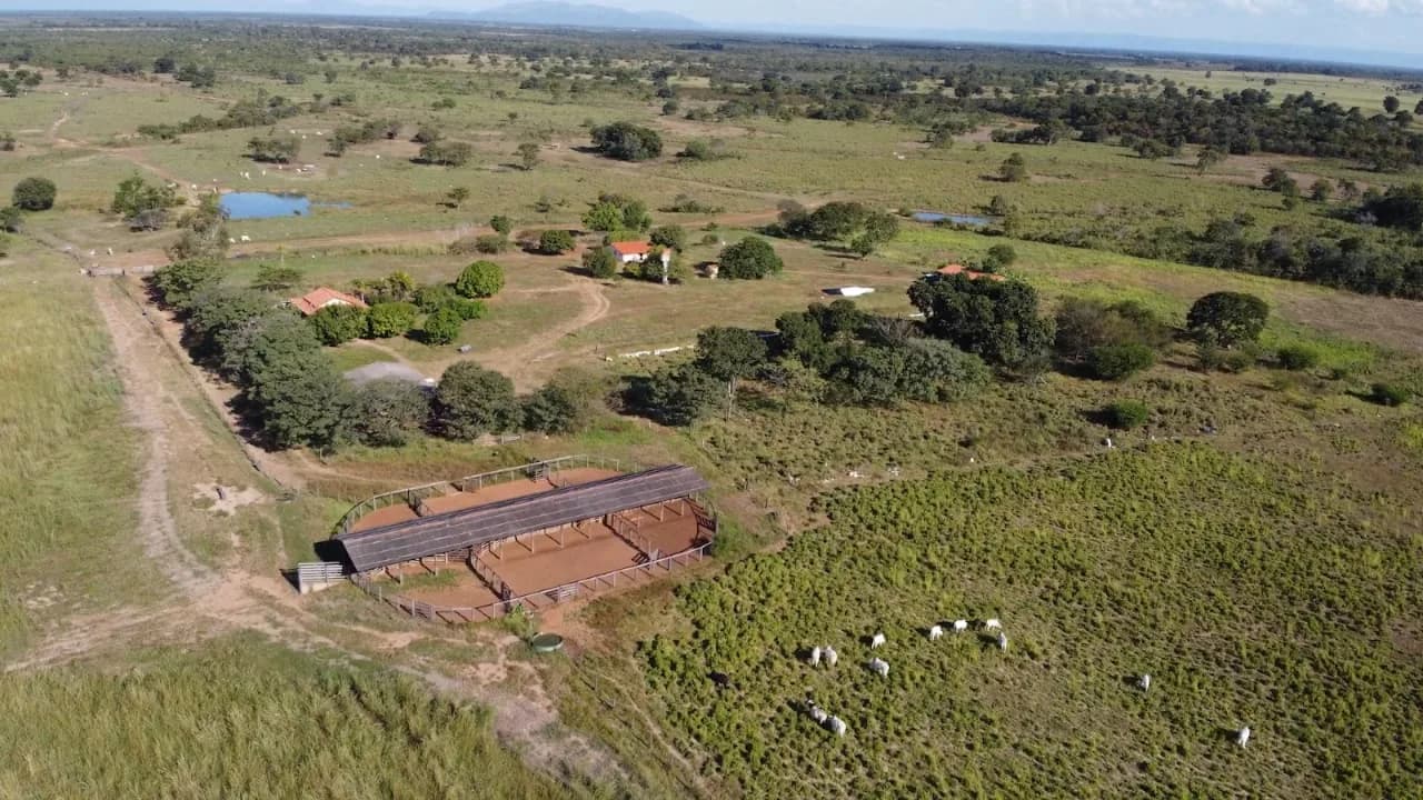 OPORTUNIDADE RURAL: Fazenda para pecuária em Flores de Goiás