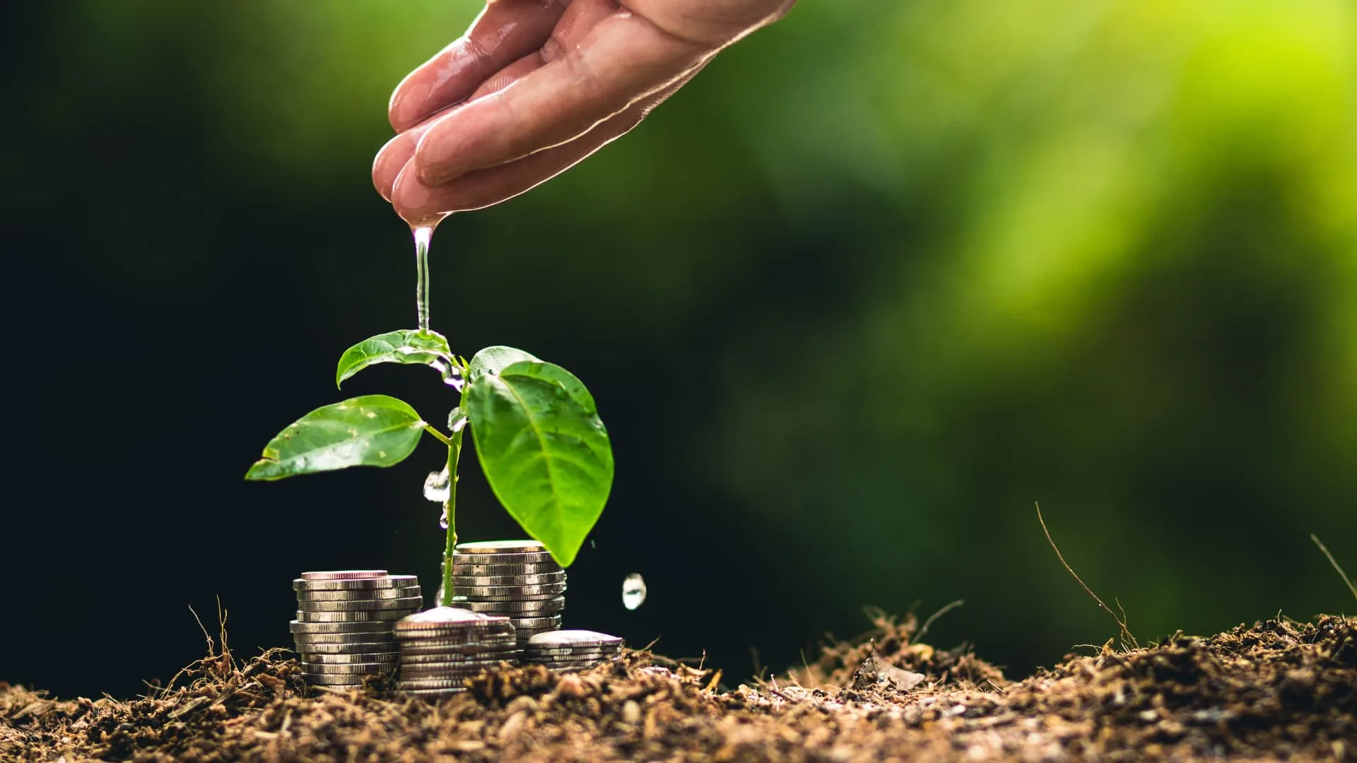 Empresa oferece crédito rural a partir 2% ao ano e 20 anos pra pagar